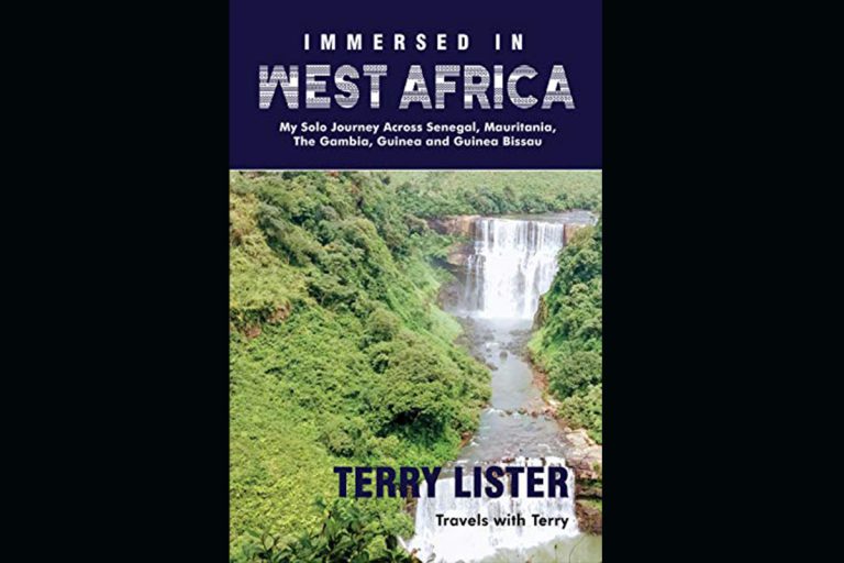 Read more about the article Immersed in West Africa: A Solo Travel Memoir in West Africa