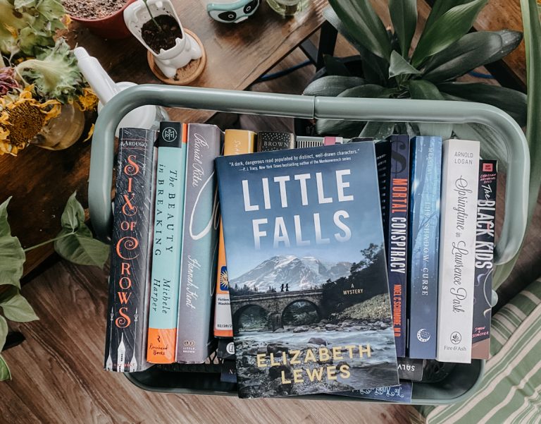 Read more about the article Little Falls by Elizabeth Lewes