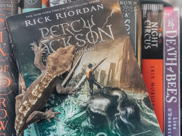 Read more about the article The Lightning Thief (Percy Jackson and the Olympians #1) by Rick Riordan