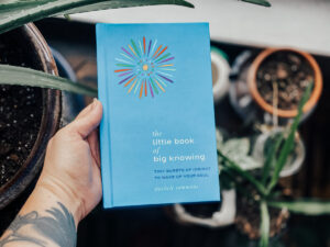 Read more about the article The Little Book of Big Knowing by Michele Sammons