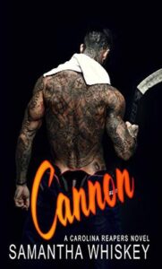 hockey romance books - Cannon