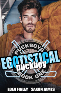 hockey romance books - egotistical puckboy